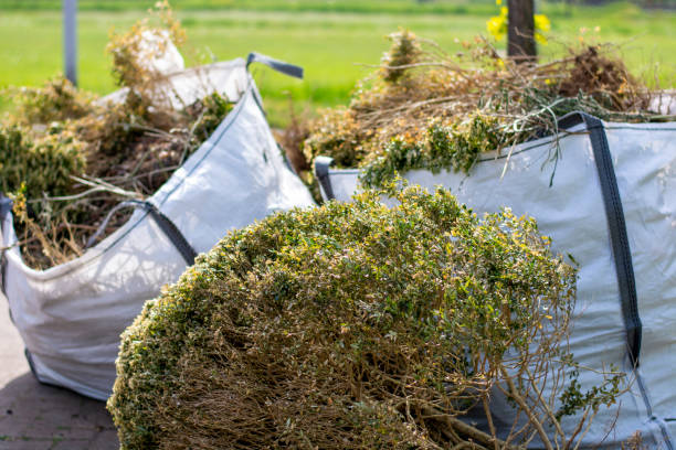 Best Dumpster Rental Services  in Port Ludlow, WA